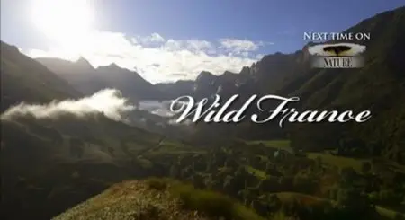 PBS - NATURE: Wild France (2015)