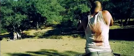 Pig (2010)