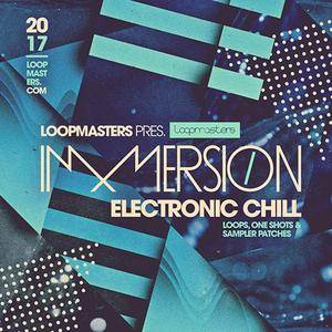 Loopmasters Immersion Electronic Chill MULTiFORMAT