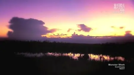 Discovery Channel - Animal Planet: American Swamp Monsters (2014)