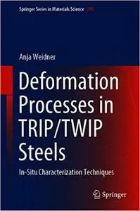 Deformation Processes in TRIP/TWIP Steels: In-Situ Characterization Techniques (Springer Series in Materials Science