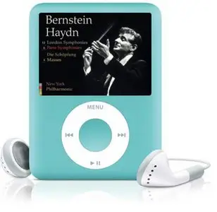 Bernstein - Haydn