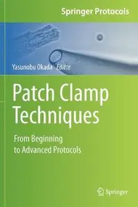 Patch Clamp Techniques: From Beginning to Advanced Protocols