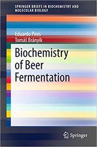 Biochemistry of Beer Fermentation [Repost]