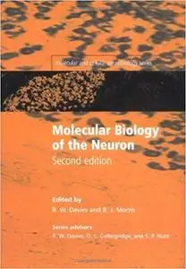 Molecular Biology of the Neuron (Repost)