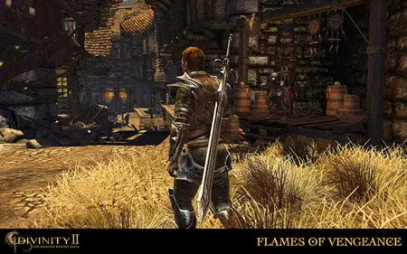 Divinity II: Flames of Vengeance (2010/GER/Add-on)