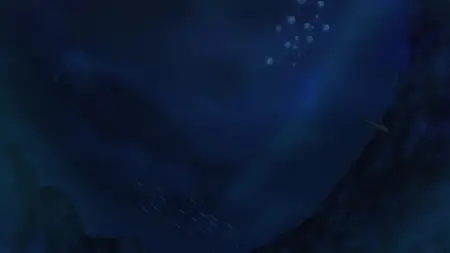 One Piece Log - Fish-Man Island Saga - 05 (1080p