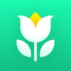 Plant Parent  Plant Care Guide v1.94