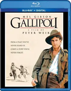 Gallipoli (1981)