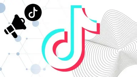 Master TikTok Ads: From 0 to 10k profits in 30 Days (DM)