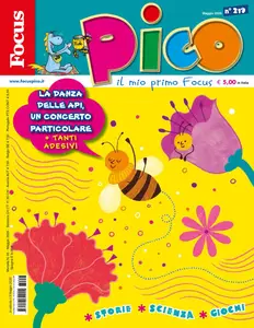 Focus Pico - 9 Maggio 2026