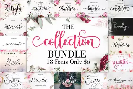 The Collection Bundle - 18 Premium Fonts
