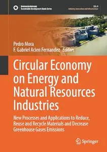 Circular Economy on Energy and Natural Resources Industries