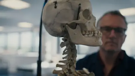 Michael Mosley: Wonders Of The Human Body (2024)