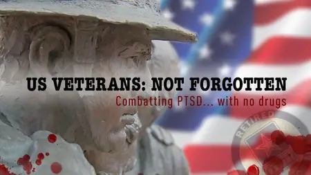 US Veterans: Not Forgotten (2016)