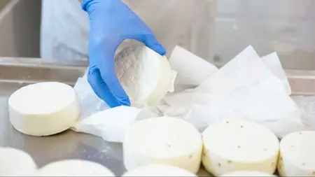 European Cheesemaking For Beginners