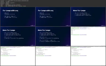 Linux Bash Shells and Scripts: Streamlining Tasks and Enhancing Workflows with Automation