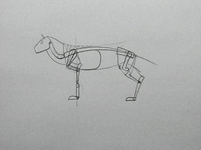 How To Draw Animals with Marshall Vandruff