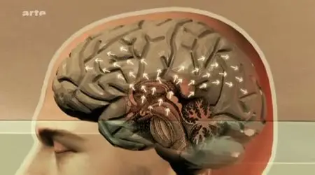 (Arte) Dopage du cerveau - L'intelligence sur ordonnance (2011)