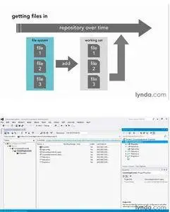 Fundamentals of Software Version Control [repost]