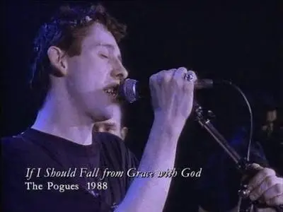 The Great Hunger - The Life & Songs of Shane MacGowan