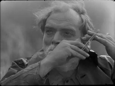 Uma Abelha na Chuva / A Bee in the Rain (1972)