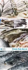 Photos - Fresh Fish Set 10