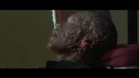 The Raid 2 (2014)