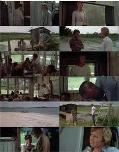 Conrack (1974) [w/Commentary]