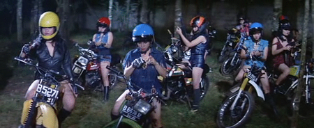Maidens Revenge (1987)
