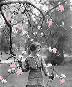 «Renascence & Other Poems» by Edna St.Vincent Millay