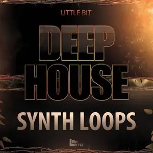 Little Bit Deep House Synth Loops (WAV)
