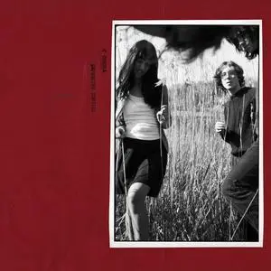 C Turtle - Expensive Thrills (2024) [Official Digital Download]