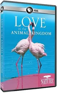 PBS - Nature: Love in the Animal Kingdom (2013)