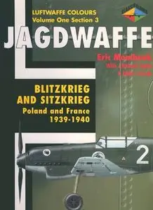 Jagdwaffe: Blitzkrieg and Sitzkrieg: Poland and France 1939-1940 (repost)