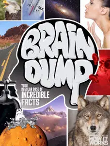 How It Works Brain Dump - Issue 8, 2014