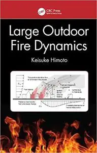 Large Outdoor Fire Dynamics