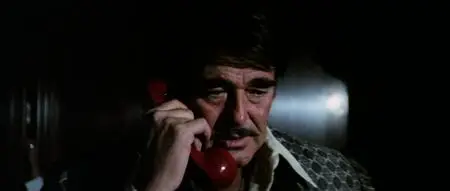 The Ransom (1977)