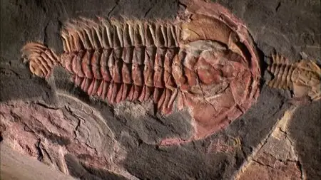 PBS Nova - Australia's First 4 Billion Years (2013)