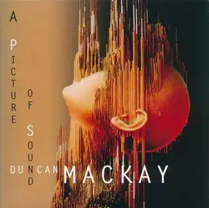 Duncan Mackay - A Picture Of Sound [Recorded 1993] (2017)