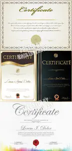 Certificate vector 30