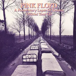 Pink Floyd - A Momentary Lapse Of Reason Official Tour CD (1988)