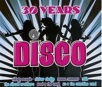 VA-30 Years Disco (2007)