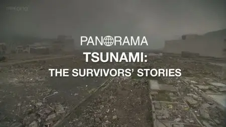 BBC Panorama - Tsunami: The Survivors Stories (2011)