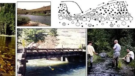 Sediment Transport Modeling using HEC-RAS 1D