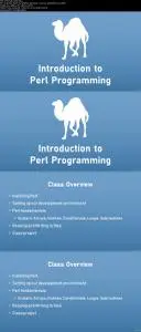 Introduction to Perl Programming