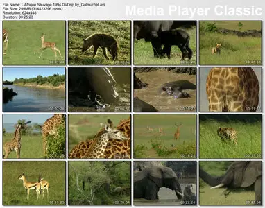 Chronique de l'Afrique Sauvage (Extraits choisis) 1994