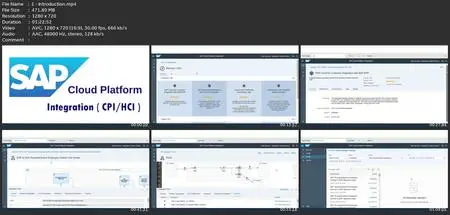 Sap Cloud Platform Integration Cpi Project Specific Training