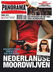 Panorama Netherlands - 29 juli 2020