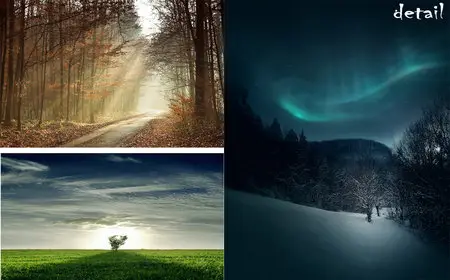 Detail Wallpapers